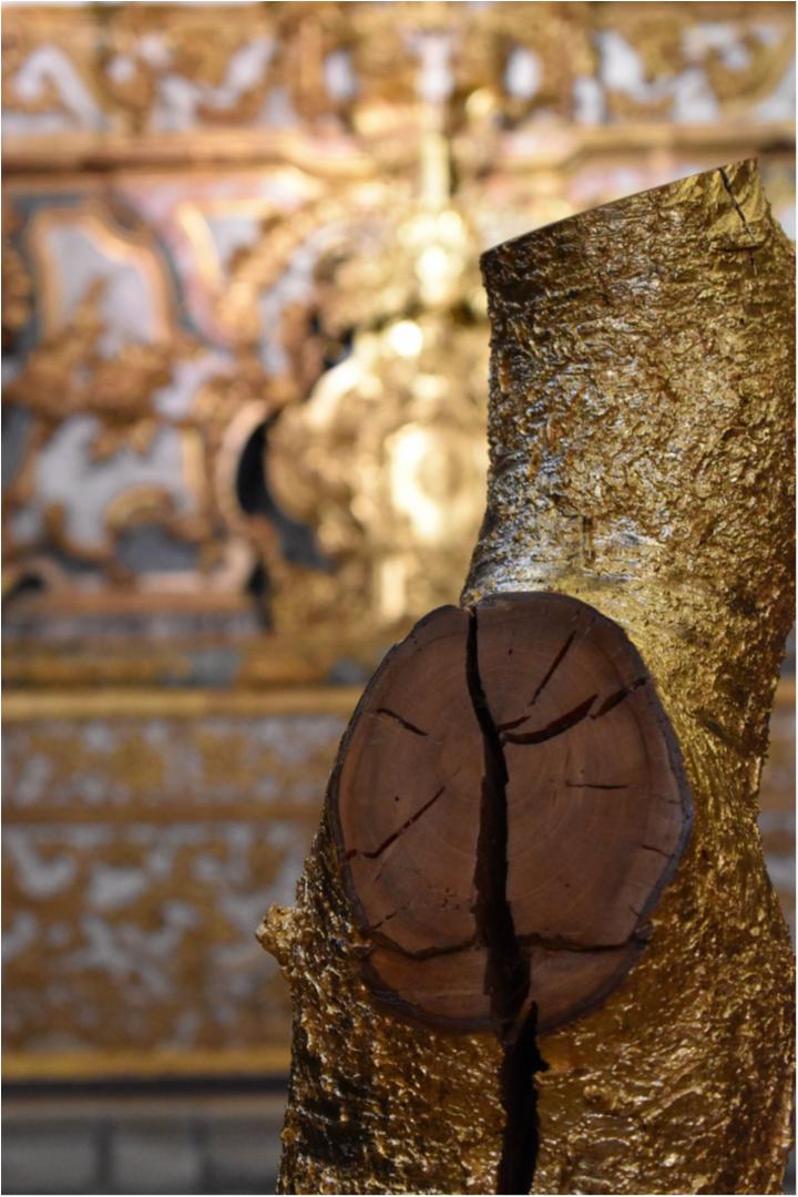 MUSEUM OF TERCEIROS - 2022