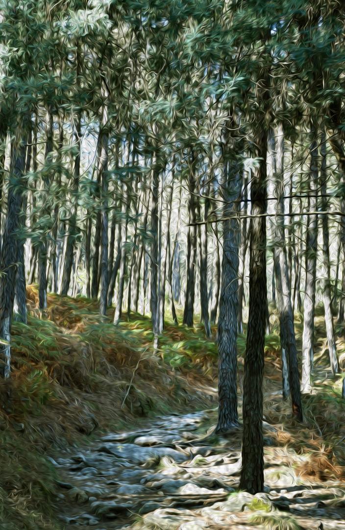 Conceito Art'In Lima 2020 - Caminhos da Espiritualidade: Cultura, História e Património